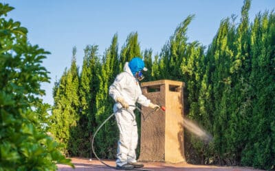How to Get More Customers With Pest Control CRM Software