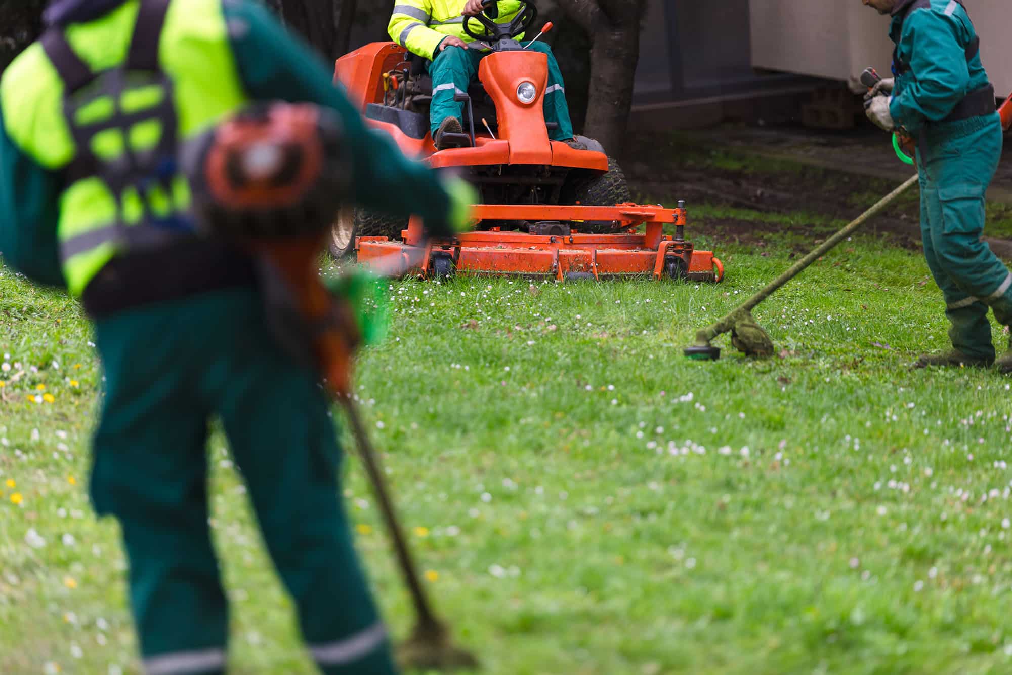 Landscapers Working With Lawn Equipment landscapers working with lawn equipment